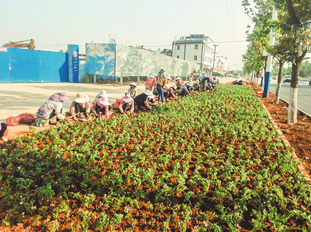 7_副本.jpg 7_副本.jpg