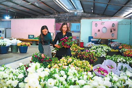 0_副本.jpg 0_副本.jpg