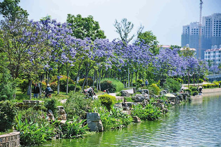 6_副本.jpg 6_副本.jpg