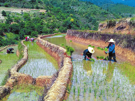 6_副本.jpg 6_副本.jpg