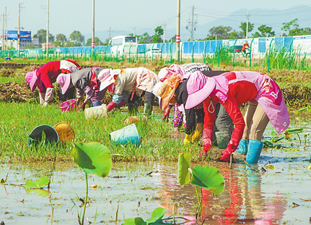 0_副本.jpg 0_副本.jpg