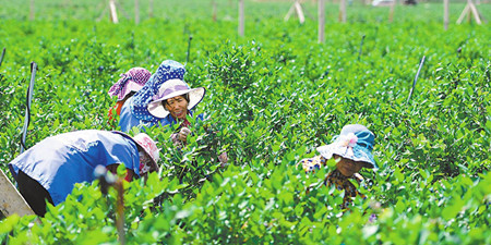 5_副本.jpg 5_副本.jpg