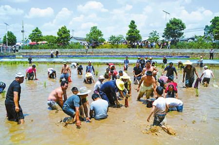 12_副本.jpg 12_副本.jpg