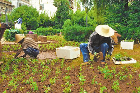 7_副本.jpg 7_副本.jpg