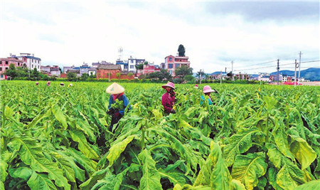 41_副本.jpg 41_副本.jpg