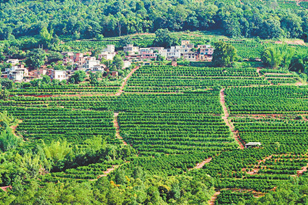 4_副本.jpg 4_副本.jpg