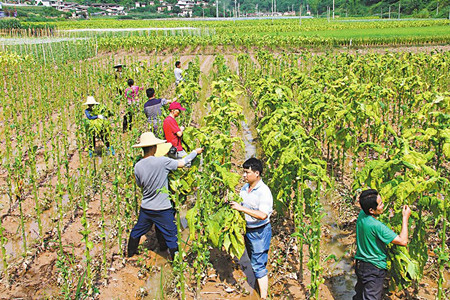 4_副本.jpg 4_副本.jpg