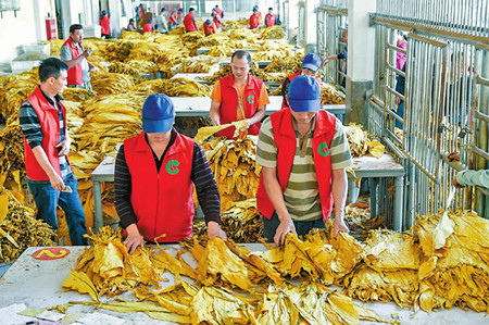 37_副本.jpg 37_副本.jpg