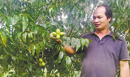 46_副本.jpg 46_副本.jpg