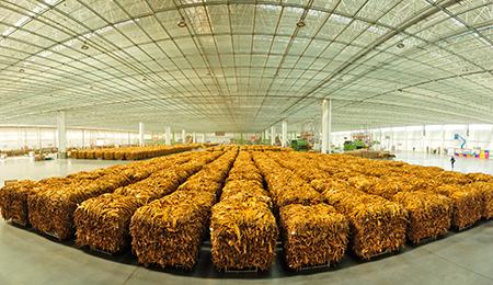 L_1540459286484981236