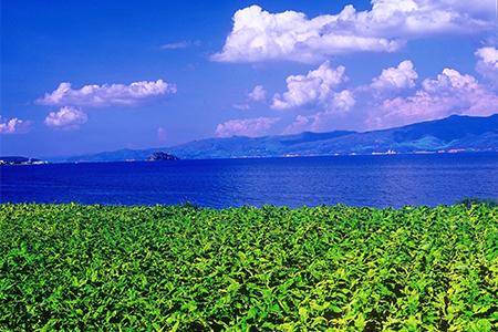 L_1540459286395979462