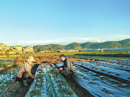 4_副本.jpg 4_副本.jpg