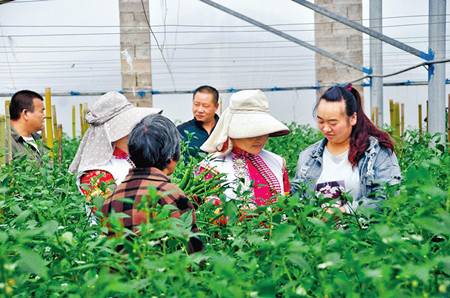 4_副本.jpg 4_副本.jpg