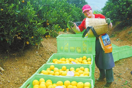 1_副本.jpg 1_副本.jpg