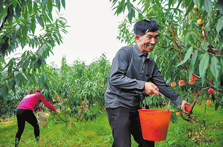 52_副本.jpg 52_副本.jpg