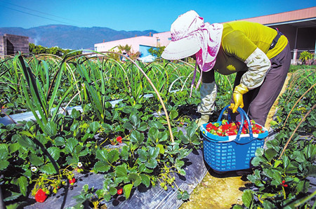 1_副本.jpg 1_副本.jpg