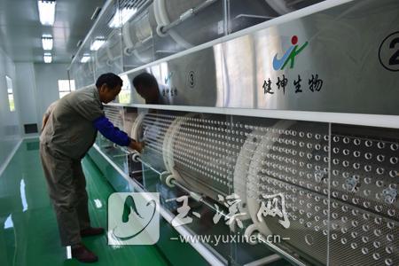 南片区:健坤生物生产调试中