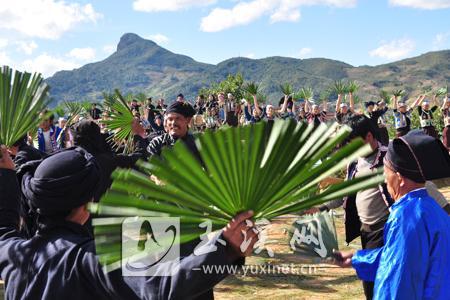 哈尼族“棕扇舞”被列入第三批国家级非物质文化遗产名录