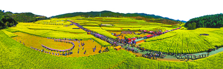 四方宾客赶花街