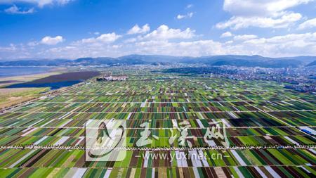 标准化蔬菜种植