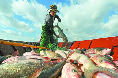 L_1569579137161818643