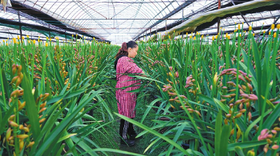 QQ图片20201204085329.png QQ图片20201204085329.png