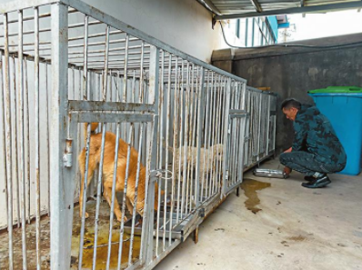 QQ图片20211020081711.png QQ图片20211020081711.png