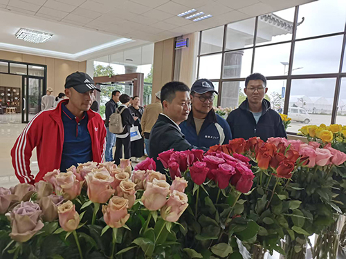 交流种植技术赋能产业升级.jpg 交流种植技术赋能产业升级.jpg